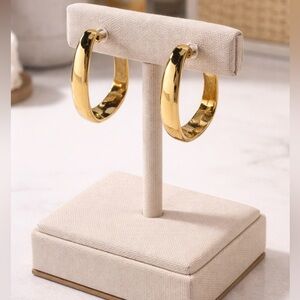 Elegant Gold Hoop Earrings